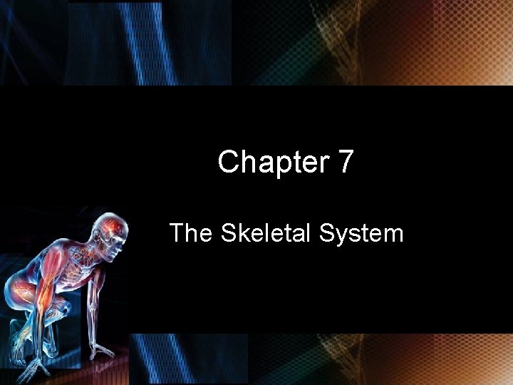 Chapter 7 The Skeletal System © 2010 Delmar, Cengage Learning 2 