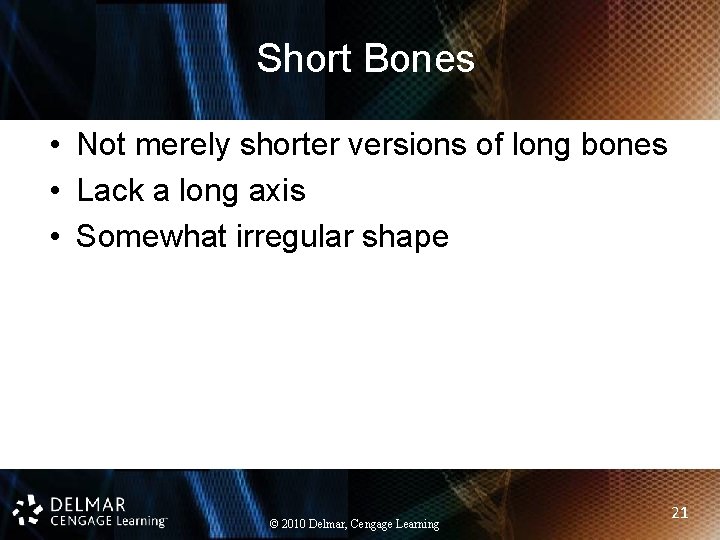 Short Bones • Not merely shorter versions of long bones • Lack a long