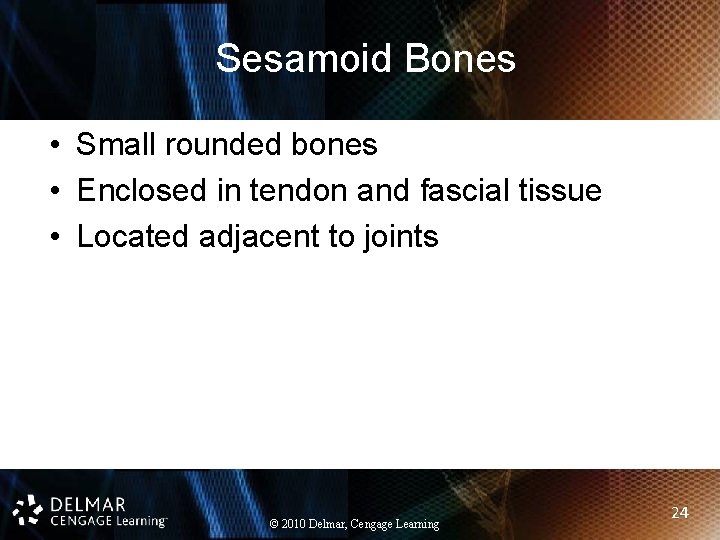 Sesamoid Bones • Small rounded bones • Enclosed in tendon and fascial tissue •