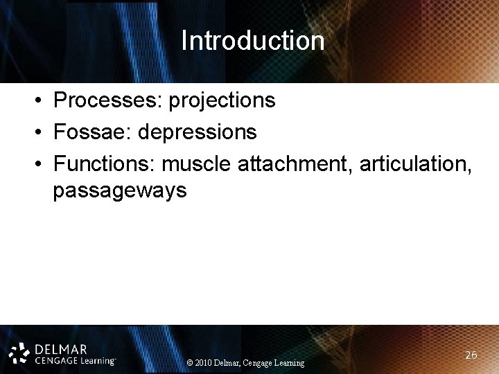 Introduction • Processes: projections • Fossae: depressions • Functions: muscle attachment, articulation, passageways ©