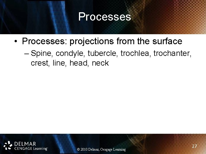 Processes • Processes: projections from the surface – Spine, condyle, tubercle, trochlea, trochanter, crest,