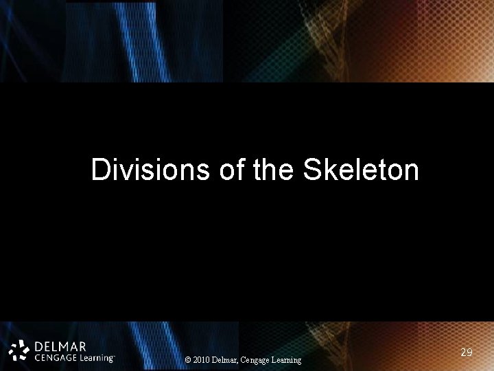 Divisions of the Skeleton © 2010 Delmar, Cengage Learning 29 