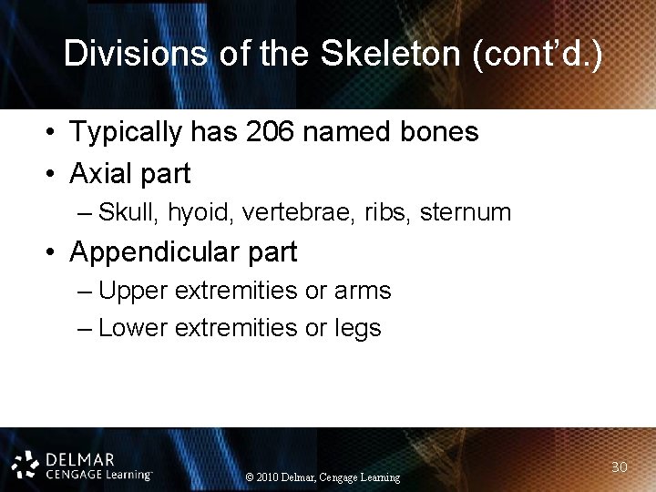 Divisions of the Skeleton (cont’d. ) • Typically has 206 named bones • Axial