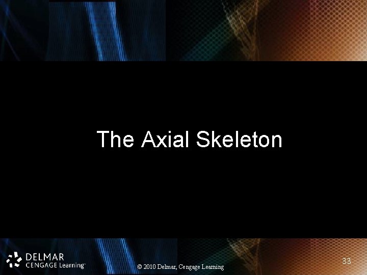 The Axial Skeleton © 2010 Delmar, Cengage Learning 33 