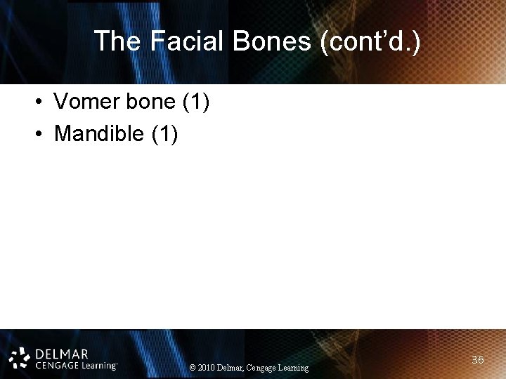 The Facial Bones (cont’d. ) • Vomer bone (1) • Mandible (1) © 2010