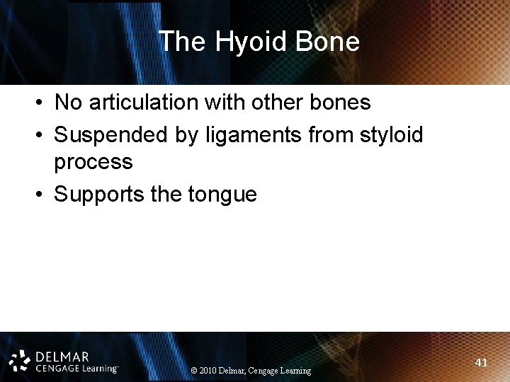 The Hyoid Bone • No articulation with other bones • Suspended by ligaments from