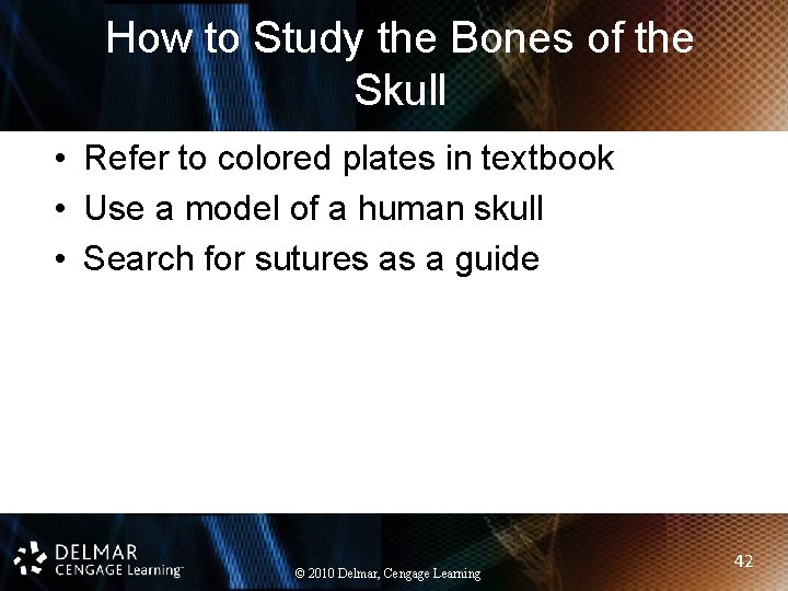 How to Study the Bones of the Skull • Refer to colored plates in