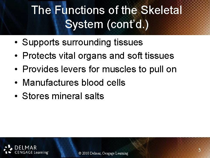 The Functions of the Skeletal System (cont’d. ) • • • Supports surrounding tissues