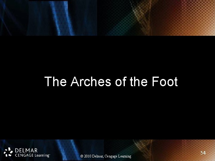 The Arches of the Foot © 2010 Delmar, Cengage Learning 54 