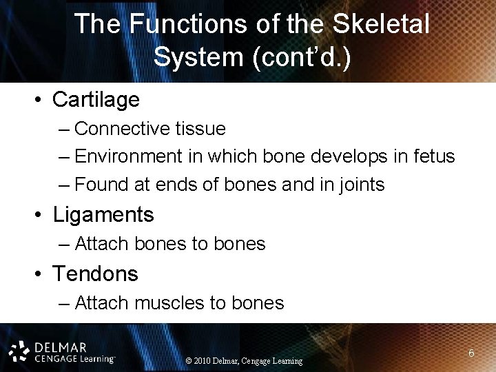 The Functions of the Skeletal System (cont’d. ) • Cartilage – Connective tissue –