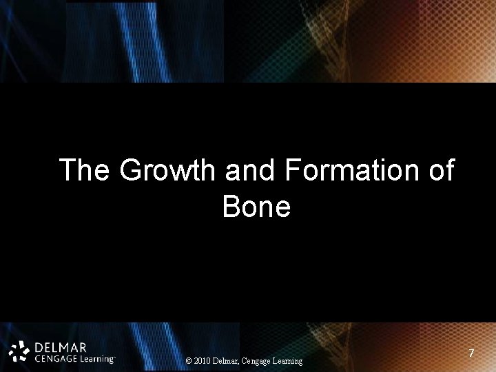 The Growth and Formation of Bone © 2010 Delmar, Cengage Learning 7 