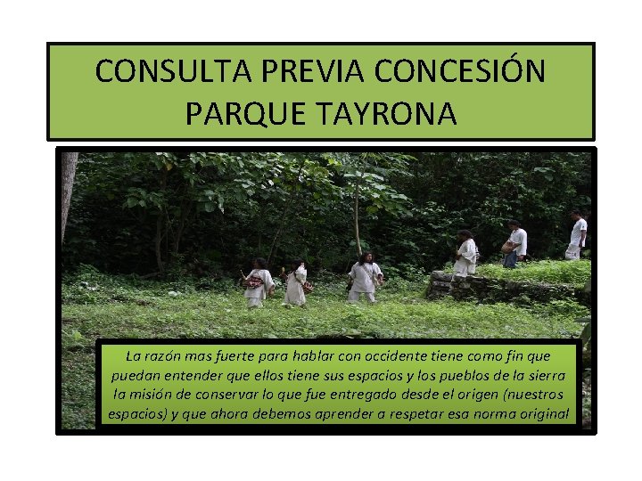 CONSULTA PREVIA CONCESIÓN PARQUE TAYRONA La razón mas fuerte para hablar con occidente tiene