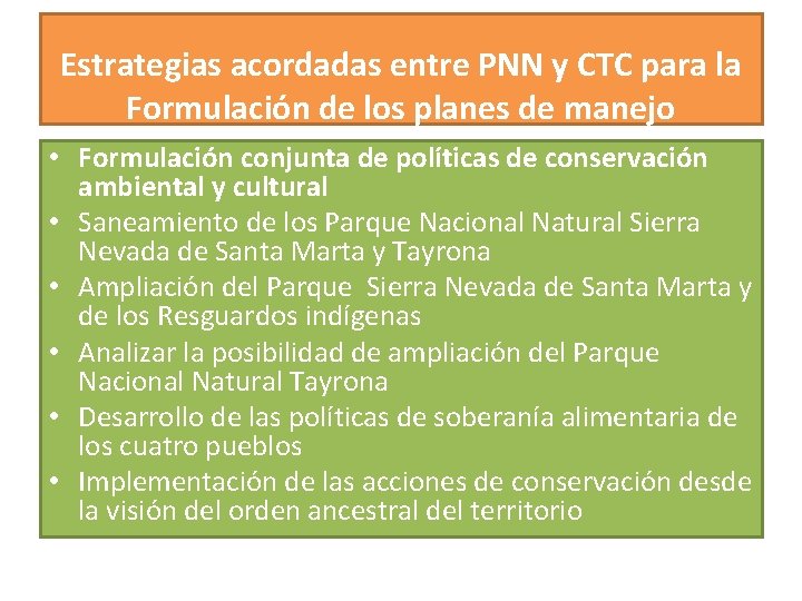 Estrategias acordadas entre PNN y CTC para la Formulación de los planes de manejo