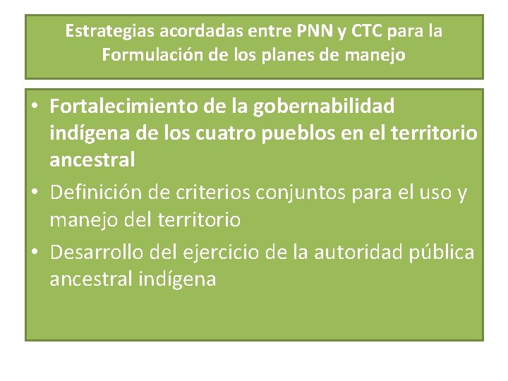 Estrategias acordadas entre PNN y CTC para la Formulación de los planes de manejo