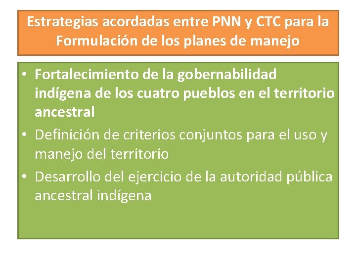 Estrategias acordadas entre PNN y CTC para la Formulación de los planes de manejo