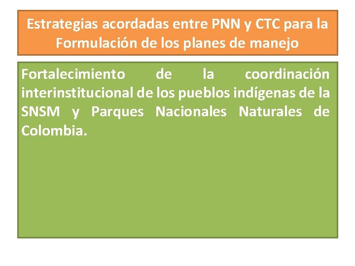 Estrategias acordadas entre PNN y CTC para la Formulación de los planes de manejo