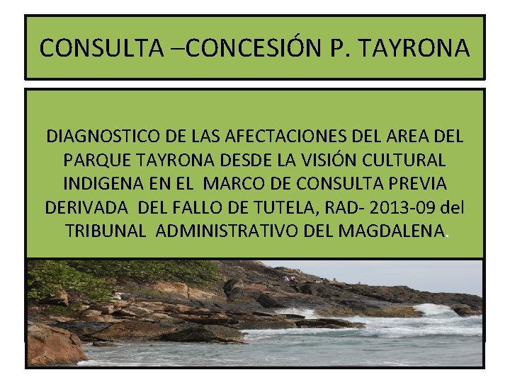 CONSULTA –CONCESIÓN P. TAYRONA DIAGNOSTICO DE LAS AFECTACIONES DEL AREA DEL PARQUE TAYRONA DESDE