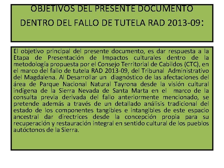 OBJETIVOS DEL PRESENTE DOCUMENTO DENTRO DEL FALLO DE TUTELA RAD 2013 -09: El objetivo