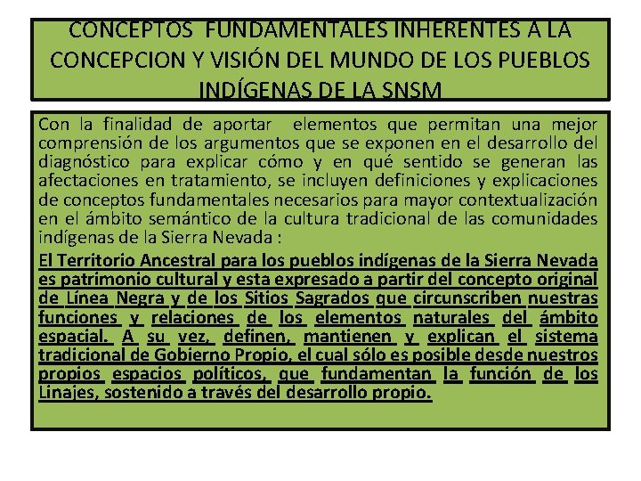 CONCEPTOS FUNDAMENTALES INHERENTES A LA CONCEPCION Y VISIÓN DEL MUNDO DE LOS PUEBLOS INDÍGENAS