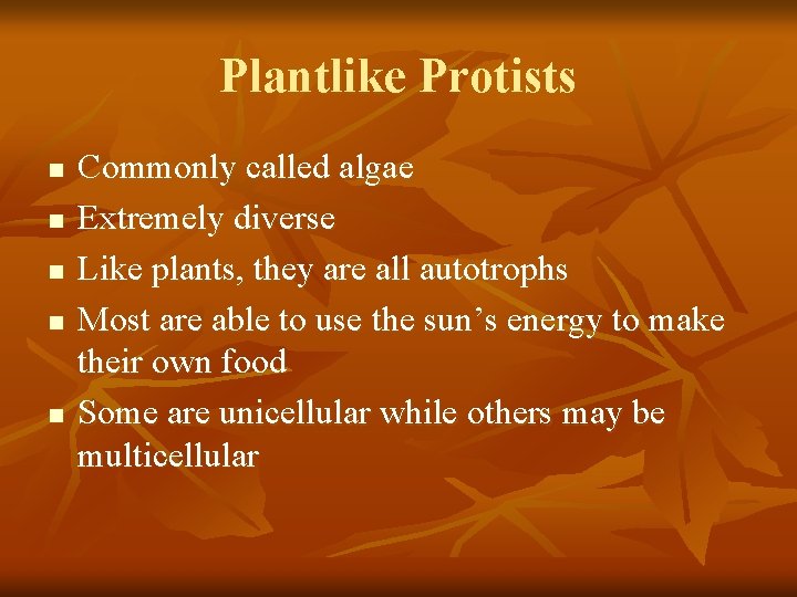 Plantlike Protists n n n Commonly called algae Extremely diverse Like plants, they are