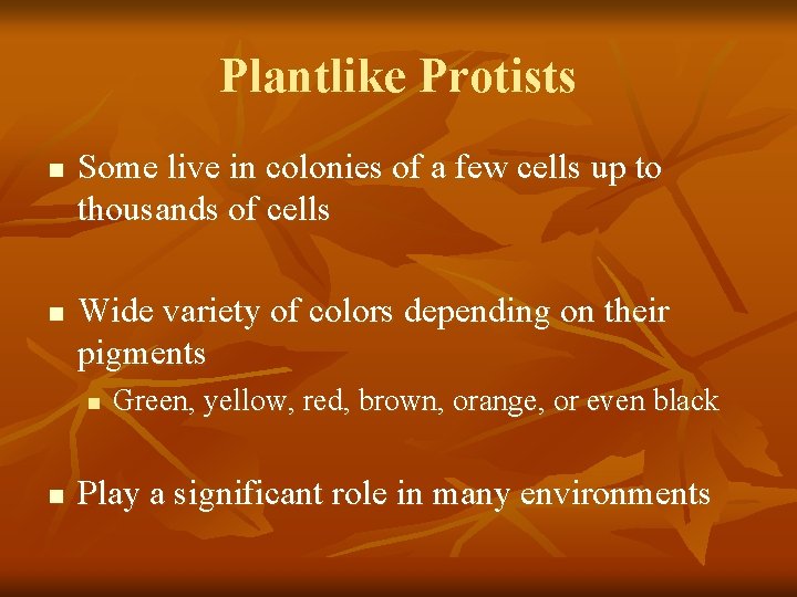 Plantlike Protists n n Some live in colonies of a few cells up to