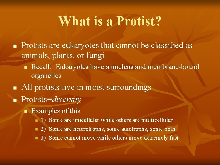 What is a Protist? n Protists are eukaryotes that cannot be classified as animals,