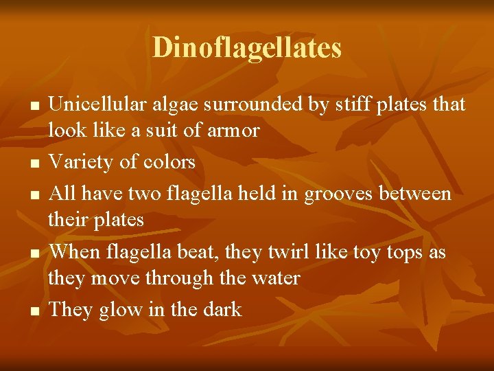 Dinoflagellates n n n Unicellular algae surrounded by stiff plates that look like a