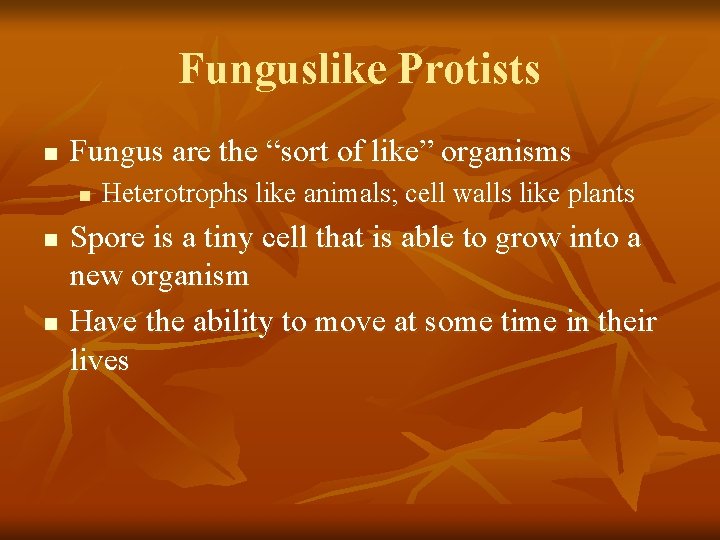 Funguslike Protists n Fungus are the “sort of like” organisms n n n Heterotrophs