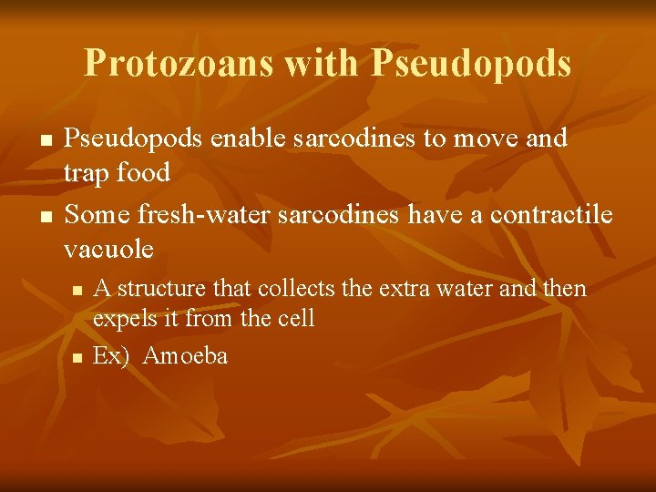 Protozoans with Pseudopods n n Pseudopods enable sarcodines to move and trap food Some