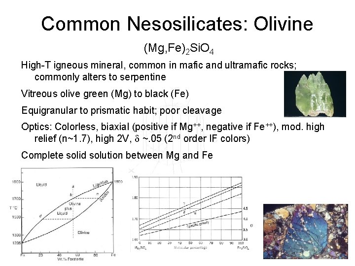 Common Nesosilicates: Olivine (Mg, Fe)2 Si. O 4 High-T igneous mineral, common in mafic