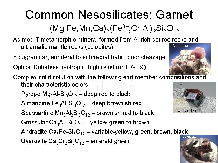 Common Nesosilicates: Garnet (Mg, Fe, Mn, Ca)3(Fe 3+, Cr, Al)2 Si 3 O 12
