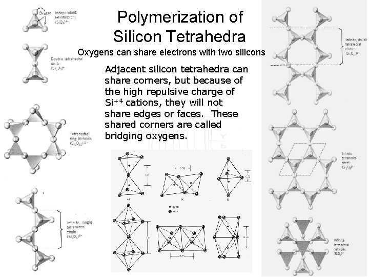 Polymerization of Silicon Tetrahedra Oxygens can share electrons with two silicons Adjacent silicon tetrahedra