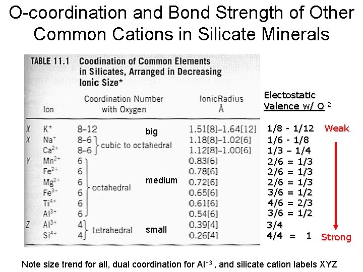 O-coordination and Bond Strength of Other Common Cations in Silicate Minerals Electostatic Valence w/
