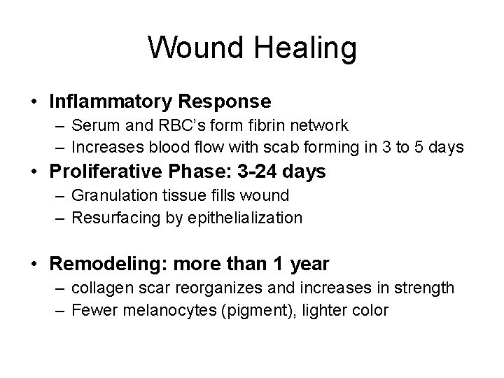 Wound Healing • Inflammatory Response – Serum and RBC’s form fibrin network – Increases