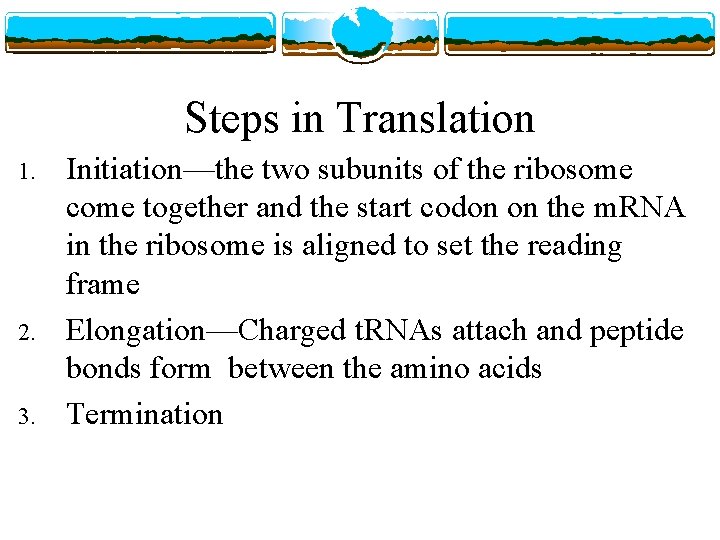 Steps in Translation 1. 2. 3. Initiation—the two subunits of the ribosome come together