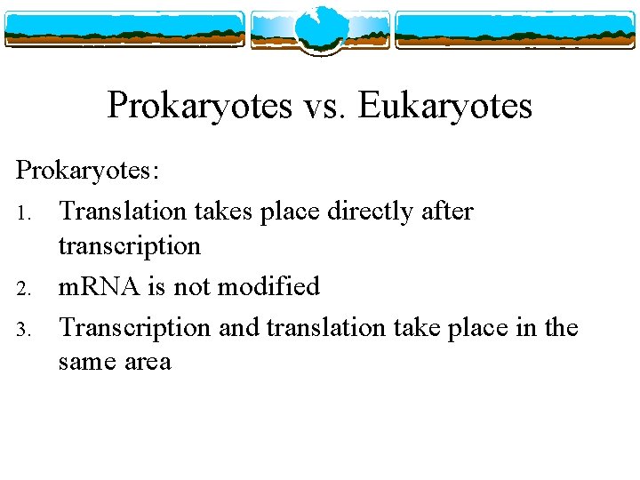 Prokaryotes vs. Eukaryotes Prokaryotes: 1. Translation takes place directly after transcription 2. m. RNA