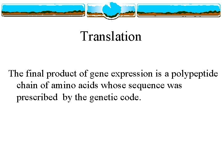 Translation The final product of gene expression is a polypeptide chain of amino acids