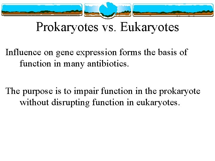 Prokaryotes vs. Eukaryotes Influence on gene expression forms the basis of function in many