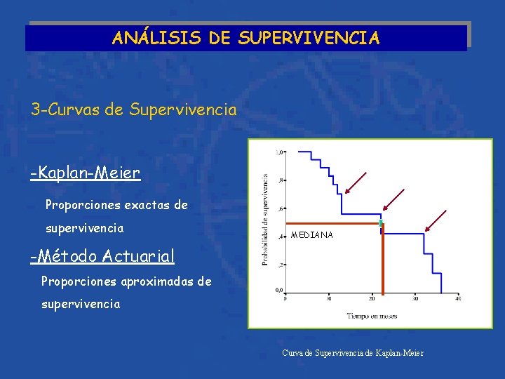 ANÁLISIS DE SUPERVIVENCIA 3 -Curvas de Supervivencia -Kaplan-Meier Proporciones exactas de supervivencia MEDIANA -Método