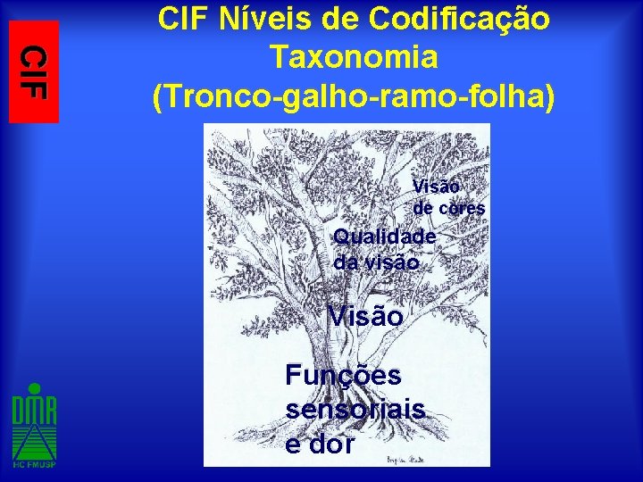 CIF Níveis de Codificação Taxonomia (Tronco-galho-ramo-folha) Visão de cores Qualidade da visão Visão Funções