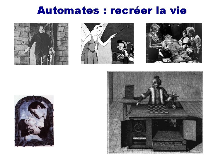  Automates : recréer la vie 