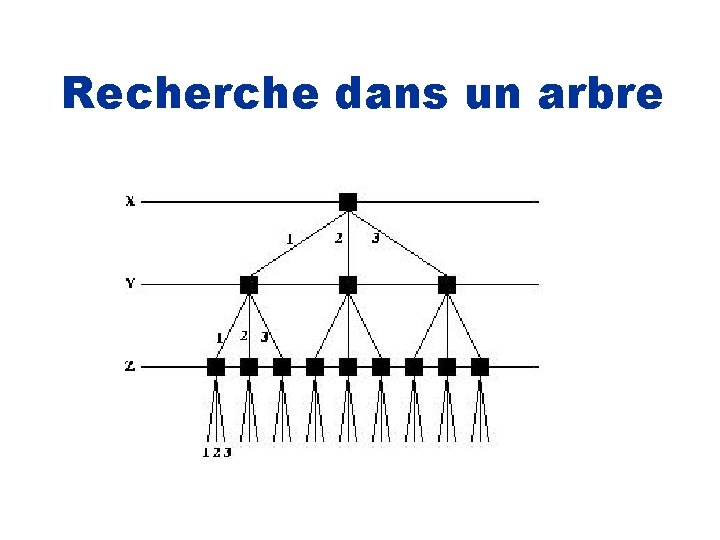 Recherche dans un arbre 