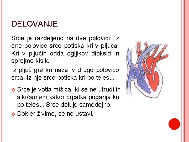 DELOVANJE Srce je razdeljeno na dve polovici. Iz ene polovice srce potiska kri v