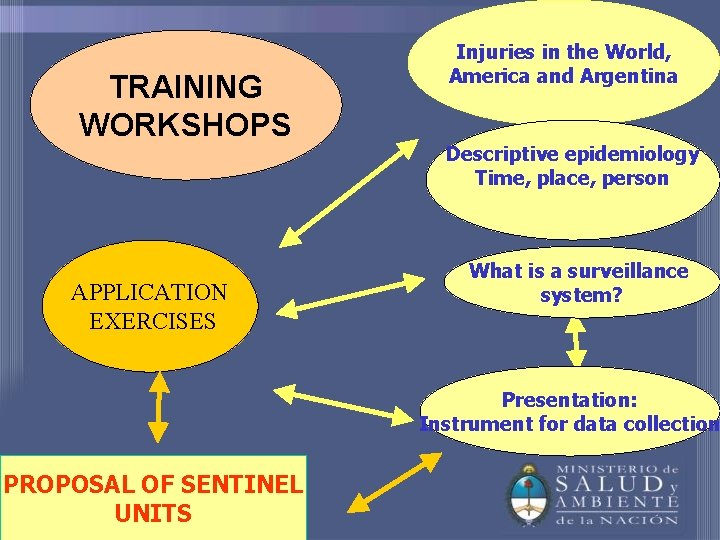 TRAINING WORKSHOPS APPLICATION EXERCISES Injuries in the World, America and Argentina Descriptive epidemiology Time,