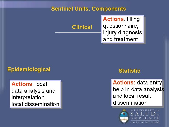 Sentinel Units. Components Clinical Epidemiological Actions: local data analysis and interpretation, local dissemination Actions: