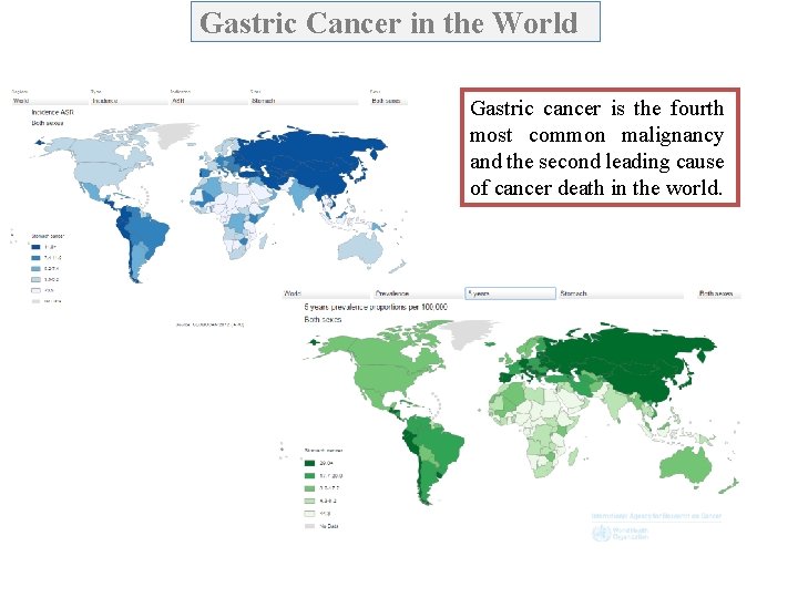 Gastric Cancer in the World Gastric cancer is the fourth most common malignancy and