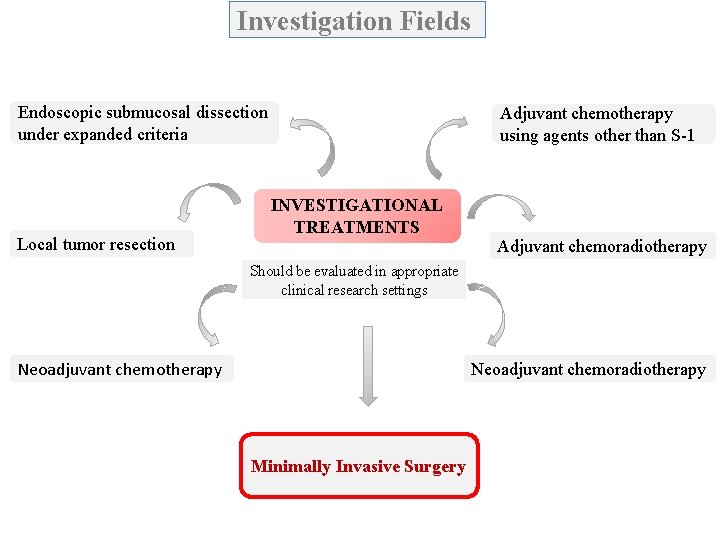 Investigation Fields Endoscopic submucosal dissection under expanded criteria Local tumor resection INVESTIGATIONAL TREATMENTS Adjuvant