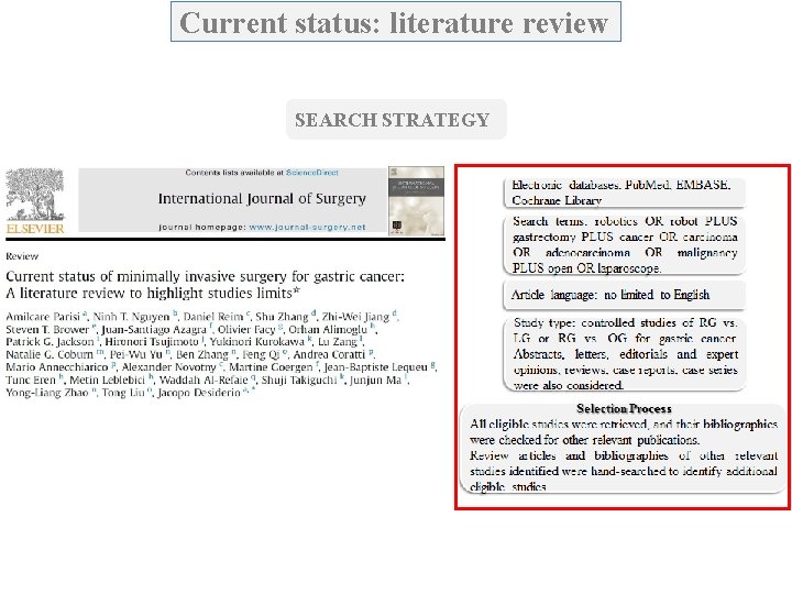 Current status: literature review SEARCH STRATEGY 