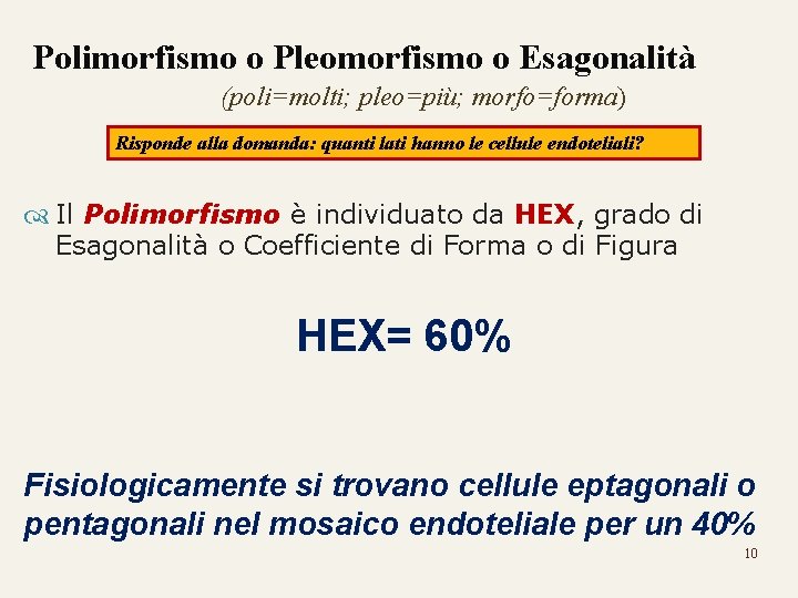 Polimorfismo o Pleomorfismo o Esagonalità (poli=molti; pleo=più; morfo=forma) Risponde alla domanda: quanti lati hanno