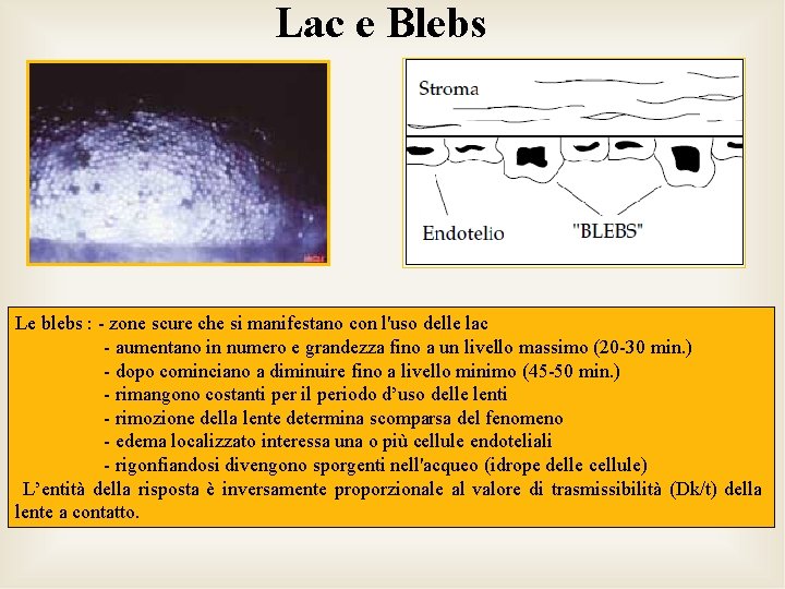 Lac e Blebs Le blebs : - zone scure che si manifestano con l'uso